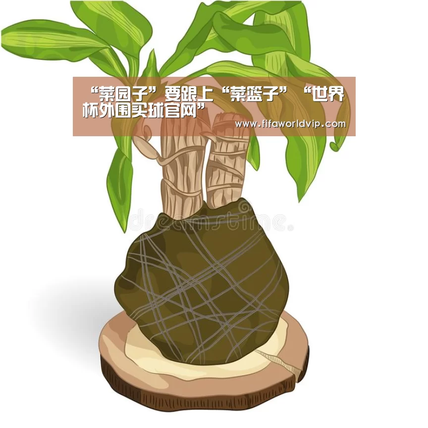 世界杯买球网站