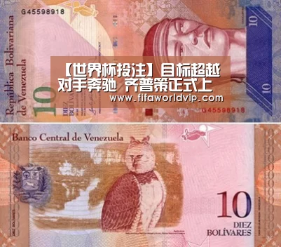 世界杯买球网站