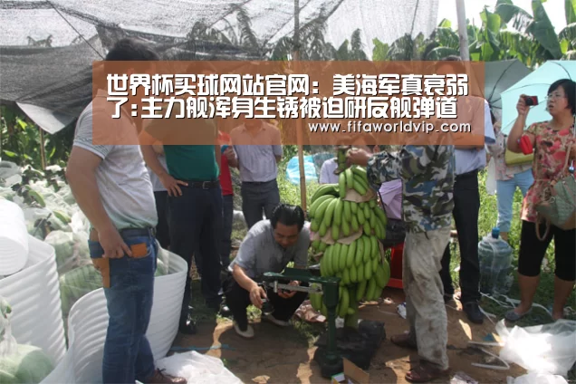 世界杯买球网站官网：美海军真衰弱了:主力舰浑身生锈被迫研反舰