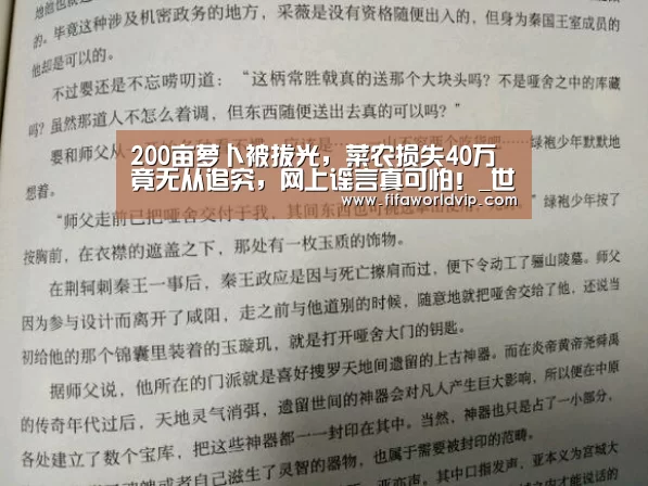 200亩萝卜被拔光，菜农损失40万竟无从追究，网上谣言真可怕