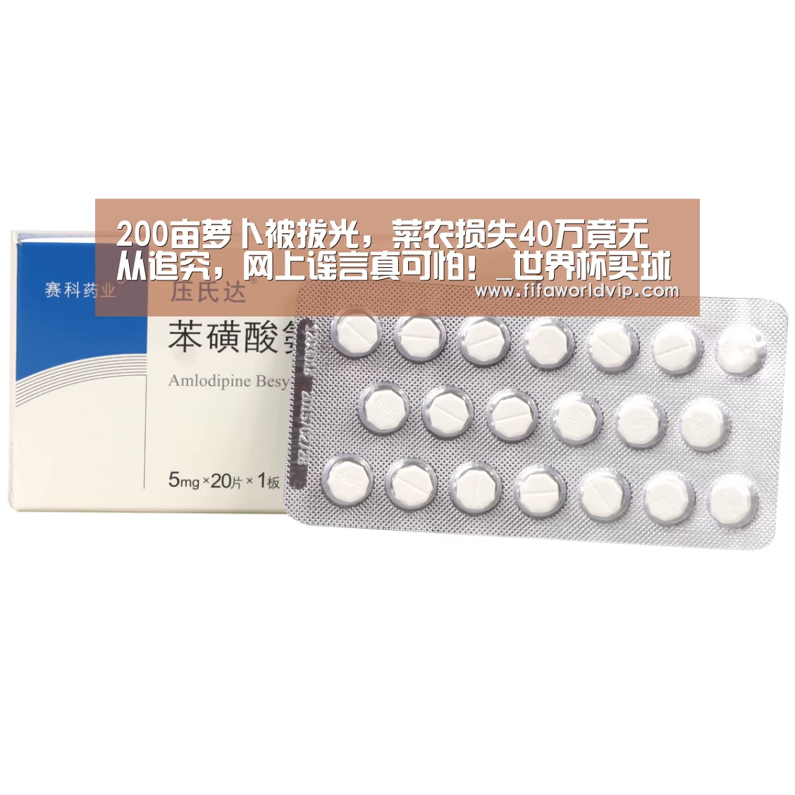世界杯投注