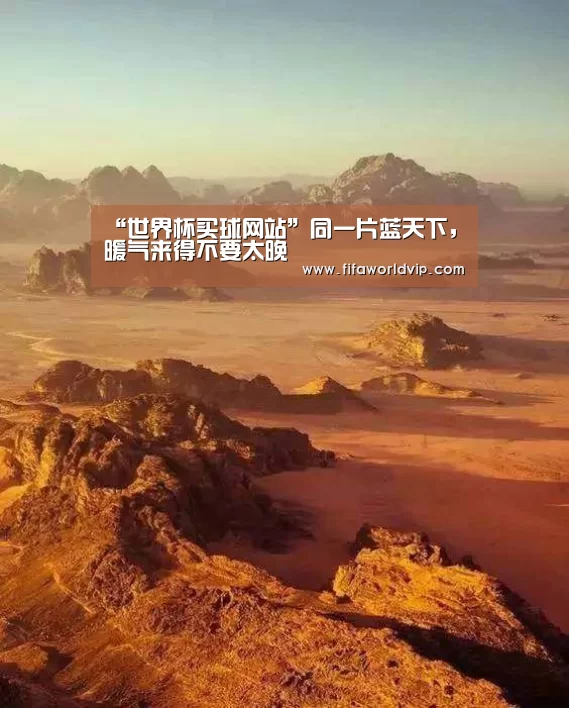世界杯买球网站官网